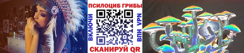 Галлюциногенные грибы Psilocybine cubensis  Раменское 